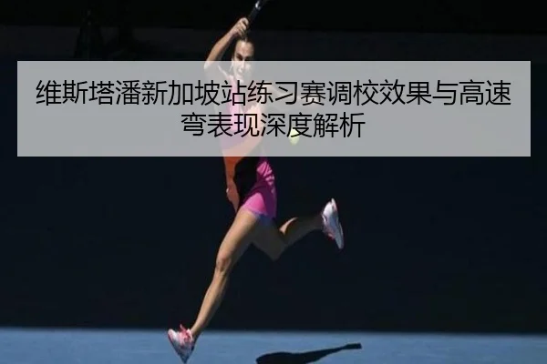 维斯塔潘新加坡站练习赛调校效果与高速弯表现深度解析